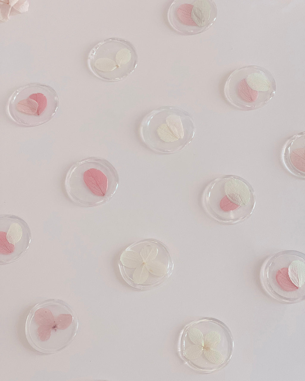 Mộc Hoa Khô Trong Suốt