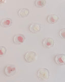 Mộc Hoa Khô Trong Suốt