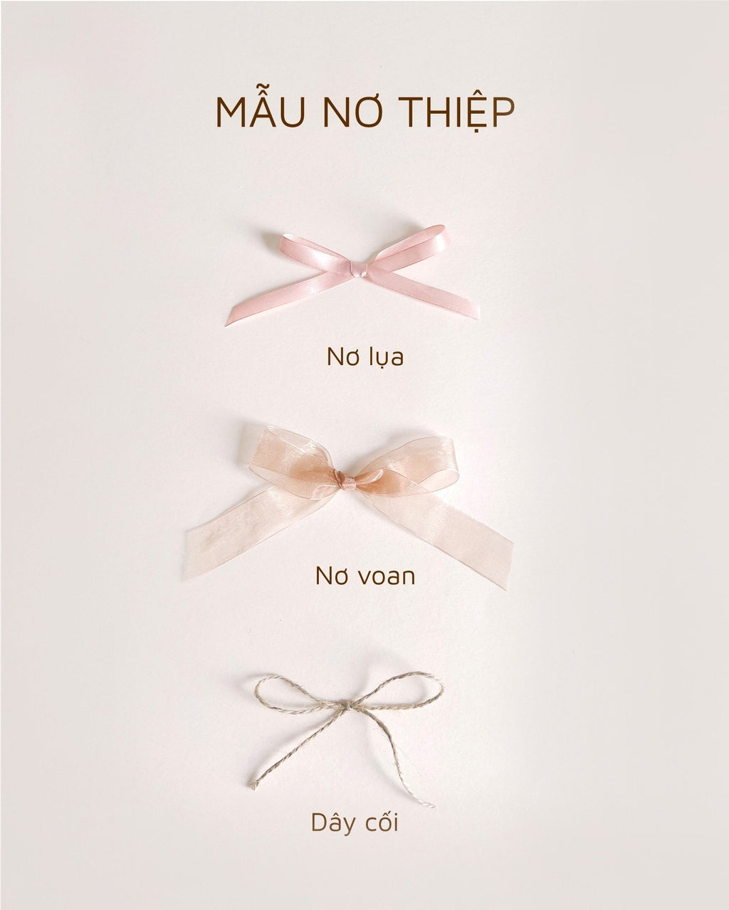 FAQs: Câu hỏi thường gặp về nơ